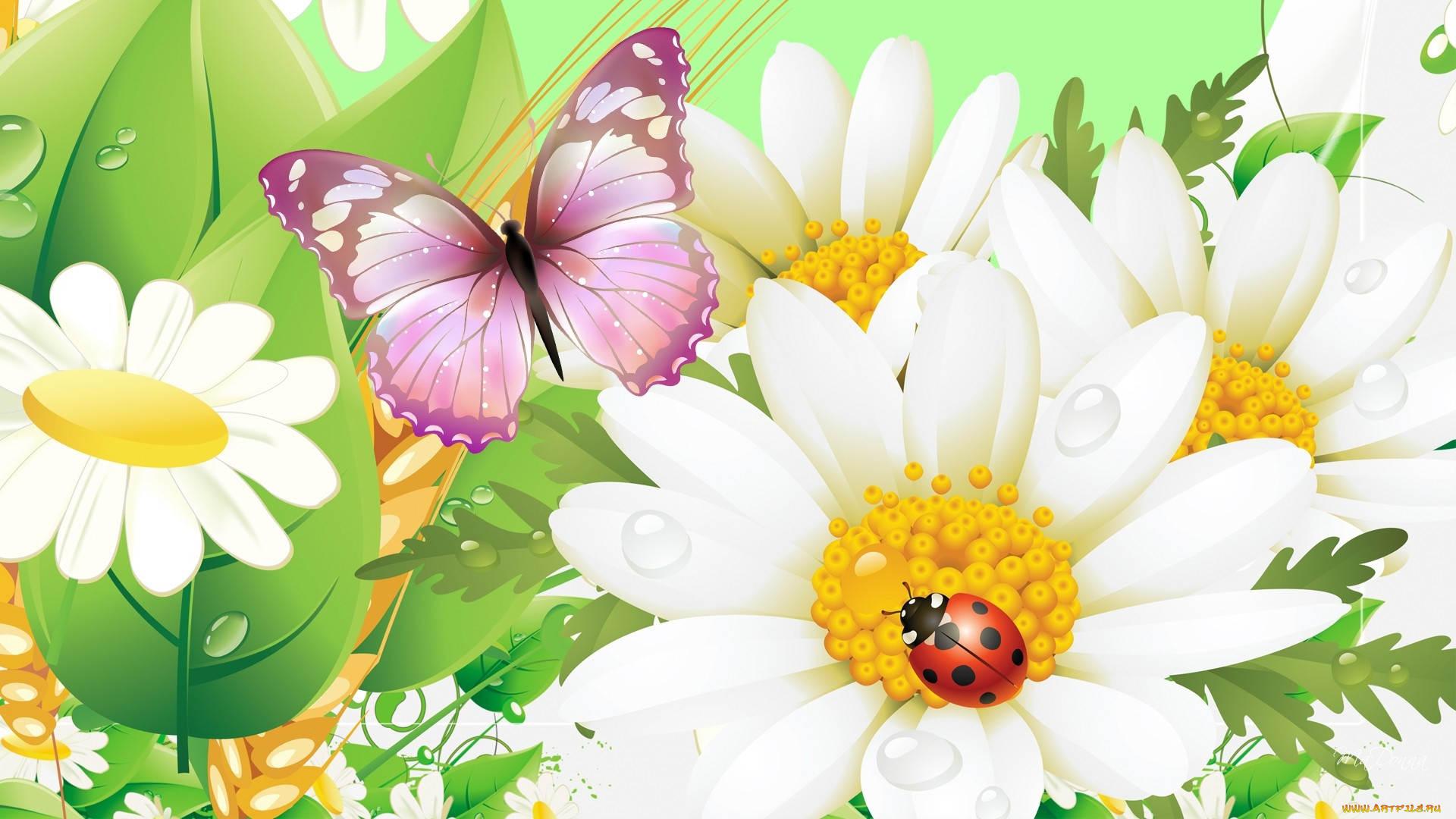  ,  , flowers, , 